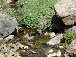 Torrente Vacco